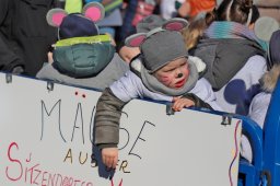Narrentreiben 2025 (Fotos Rochus Hetzendorfer)